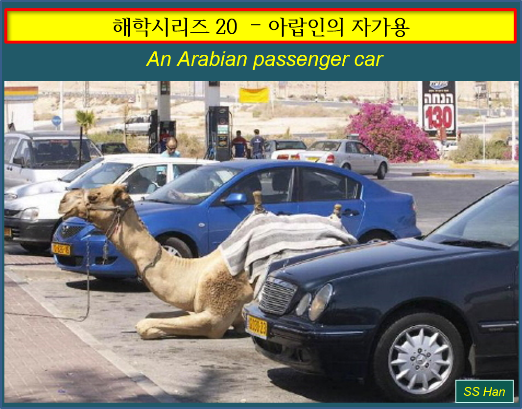 해학 20 아랍인의 자가용.png