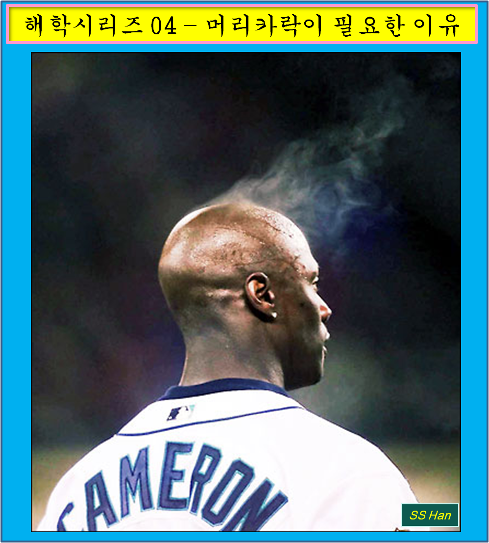 해학 04 -  머리카락.png