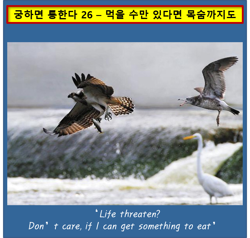 궁-26- 먹을수만 있다면.png