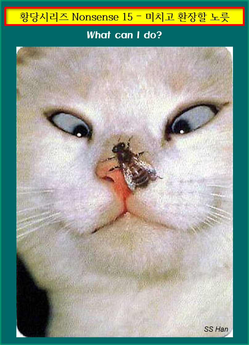 황당 15 미치고 환장할 노릇.png