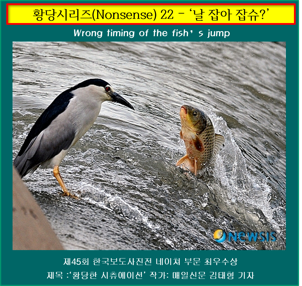 황당 22 날잡아 잡슈.png