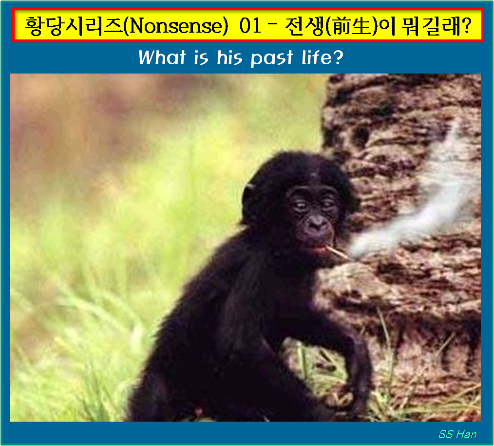 황당 01 전생이 뭐길래.png