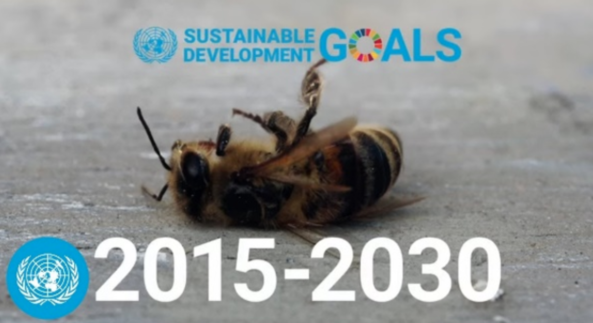 Screenshot 2023-12-12 at 3.44.34 PM.png