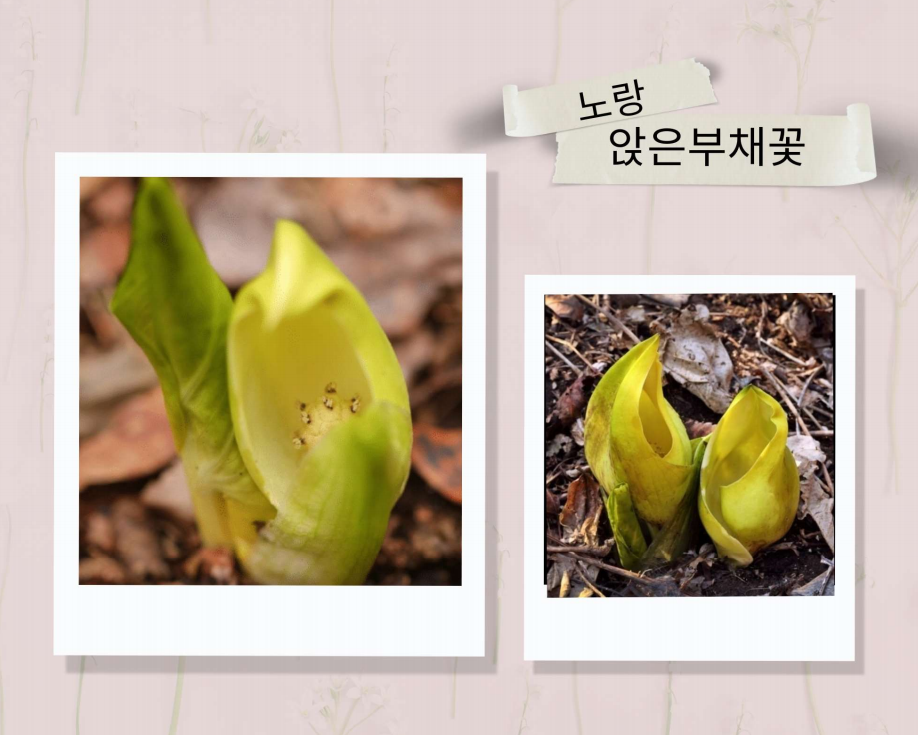 화면 캡처 2023-11-14 231927.png