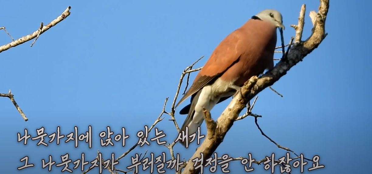 스크린샷 2022-08-02 오후 11.08.46.png