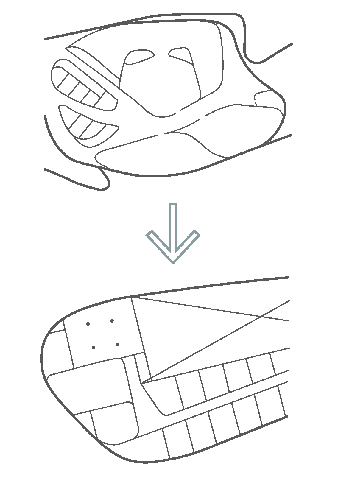 도판 06-01.png