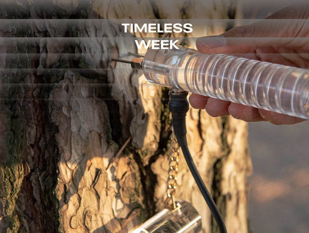 나무의사 김천기 (1).png