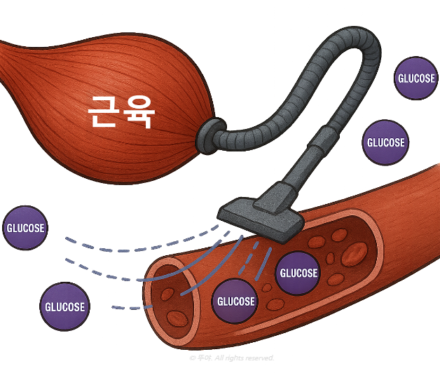 ChatGPT Image 2025년 9월 2일 오후 01_51_32.png