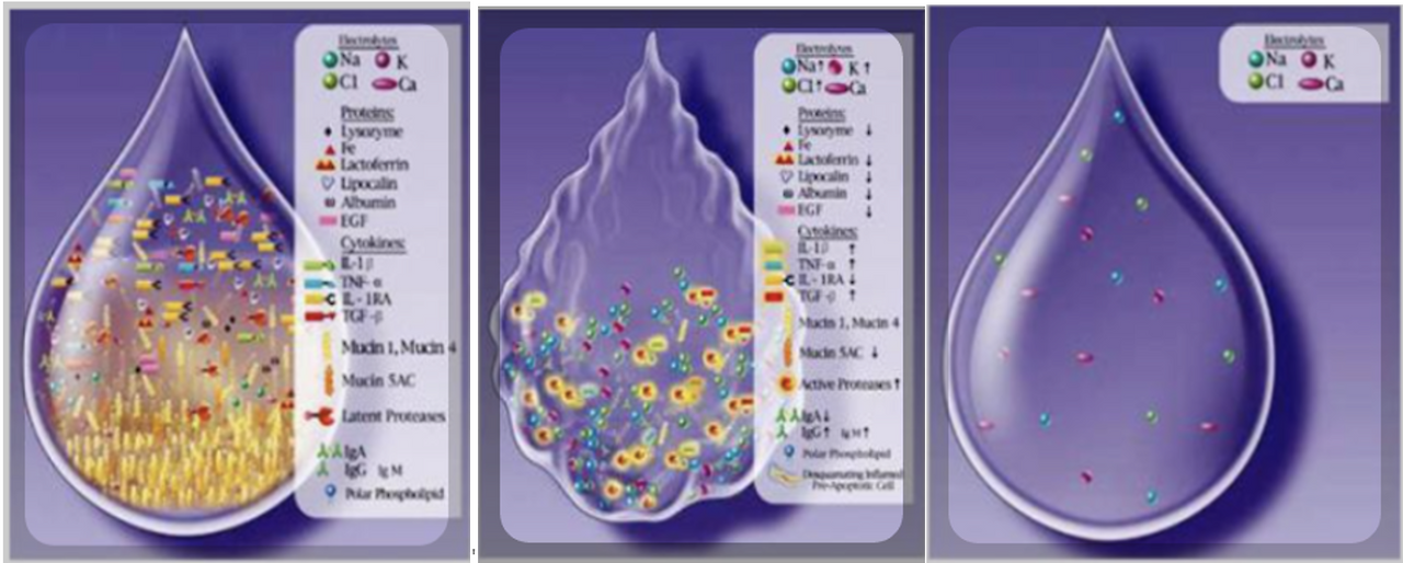 스크린샷 2025-10-26 오전 9.10.07.png