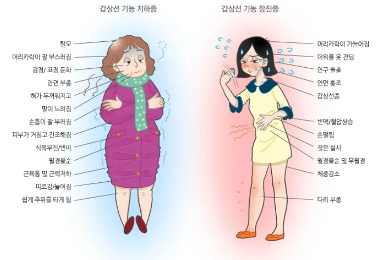 스크린샷 2025-09-22 165636.png