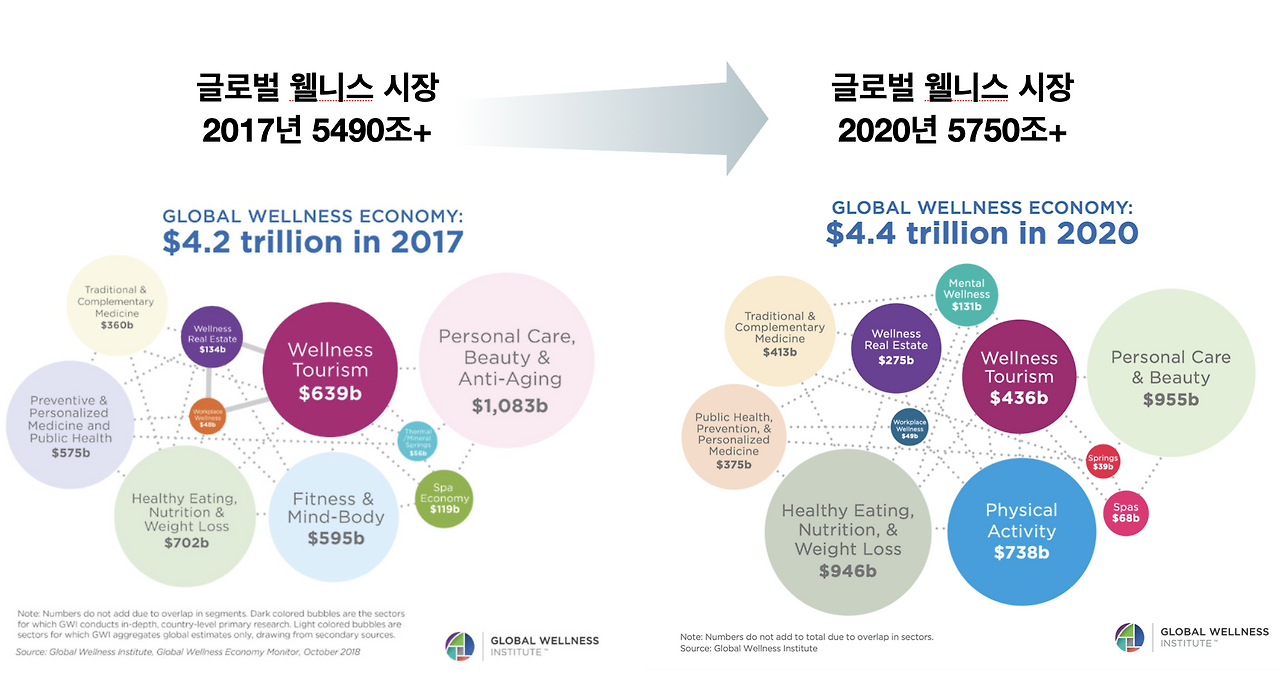 2a9516ce-b774-4253-8153-5fe6f5c2af7a웰니스시장_규모.png.png