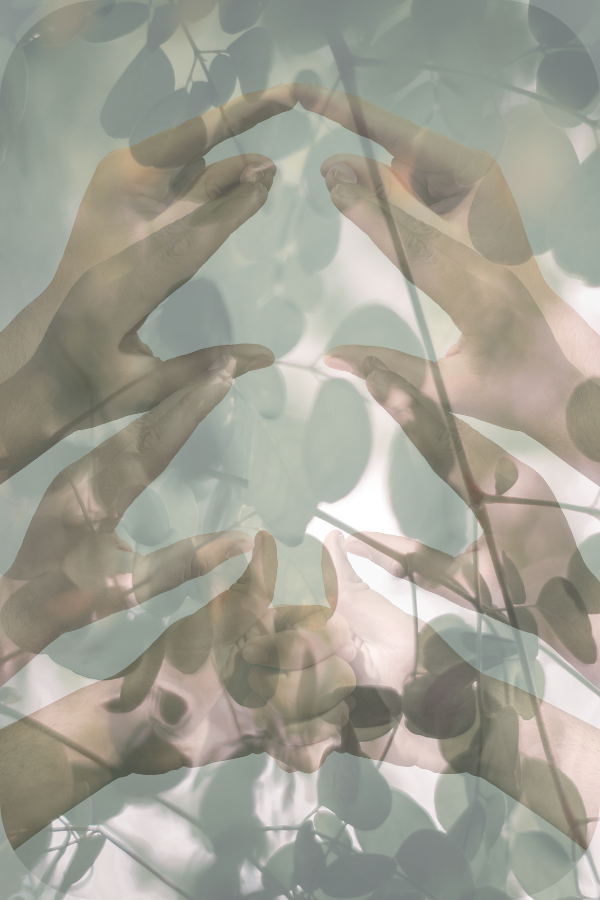 제목 없는 디자인 (7).png