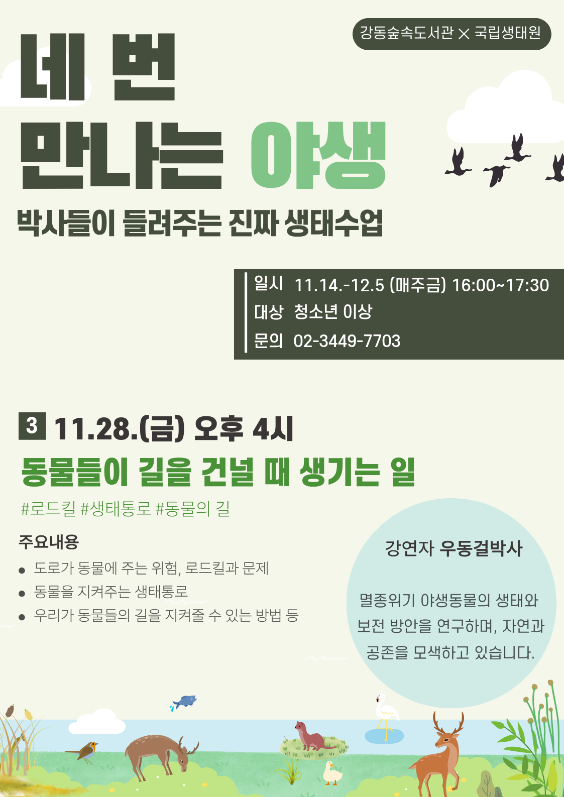 0_우동걸샘_로드킬_강동도서관.png
