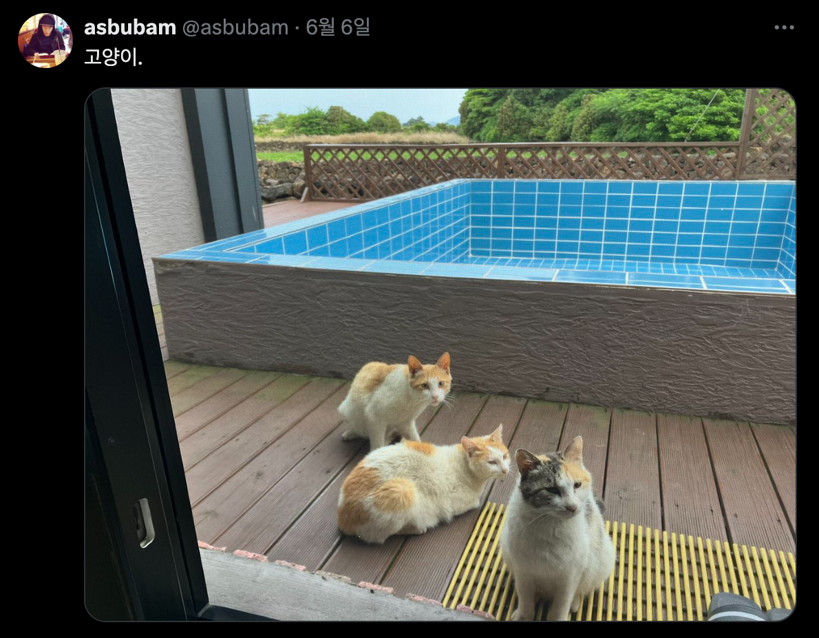 Screenshot 2025-06-24 at 11.59.31 AM.png