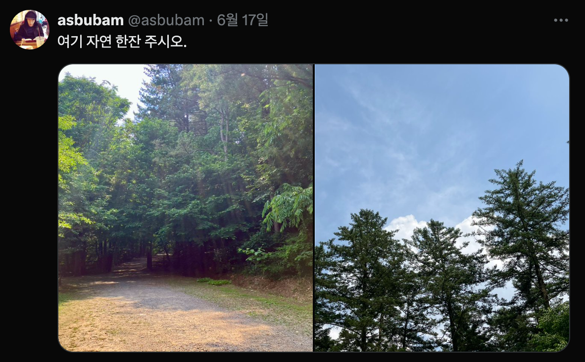 Screenshot 2025-06-24 at 12.53.28 PM.png