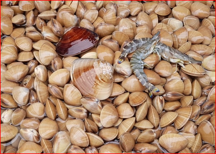 화면 캡처 2024-03-21 141240.png