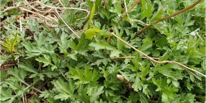 화면 캡처 2024-01-03 134913.png