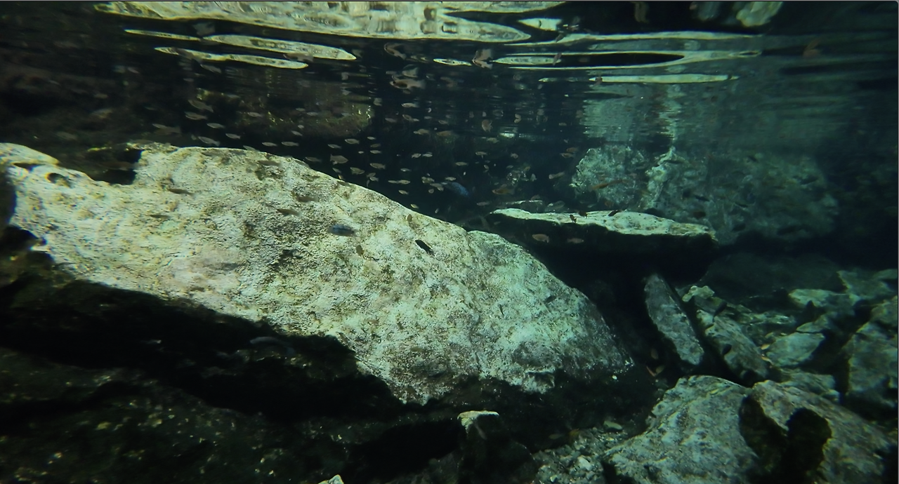 스크린샷 2025-07-24 오후 3.40.05.png