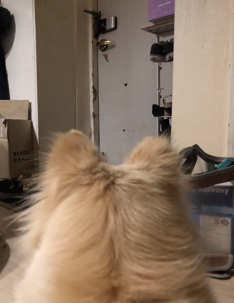 스크린샷 2022-07-18 오후 4.19.19.png