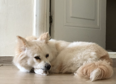 스크린샷 2022-07-18 오후 4.23.43.png