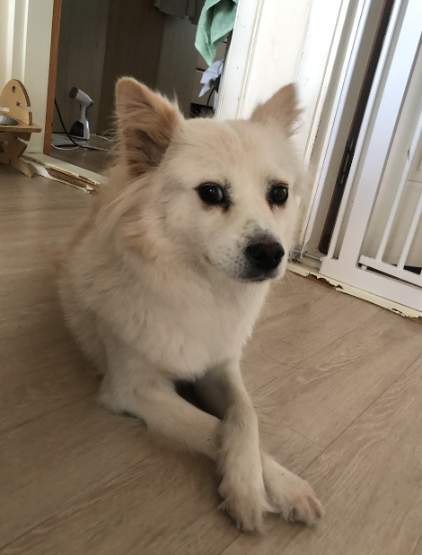 스크린샷 2022-07-18 오후 4.21.05.png