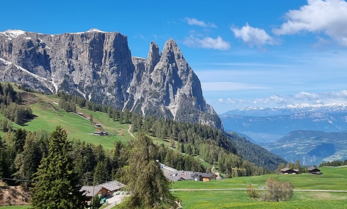 화면 캡처 2025-02-15 125438.png