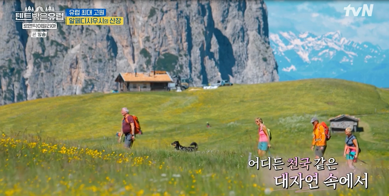 화면 캡처 2025-02-15 122639.png