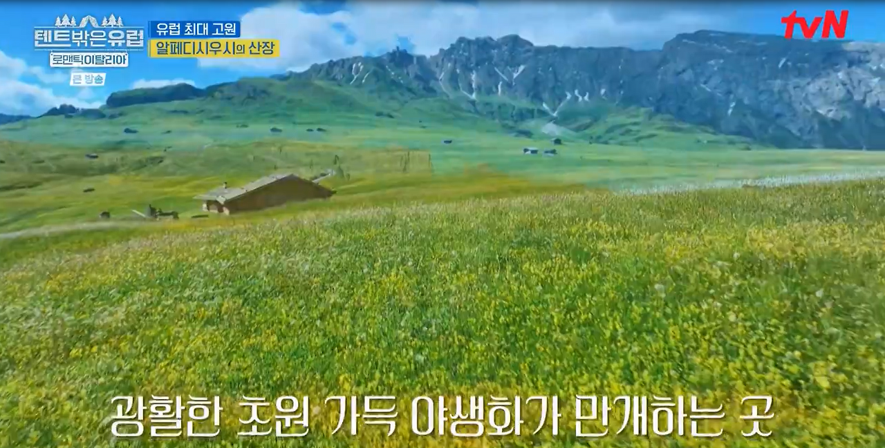 화면 캡처 2025-02-15 122537.png