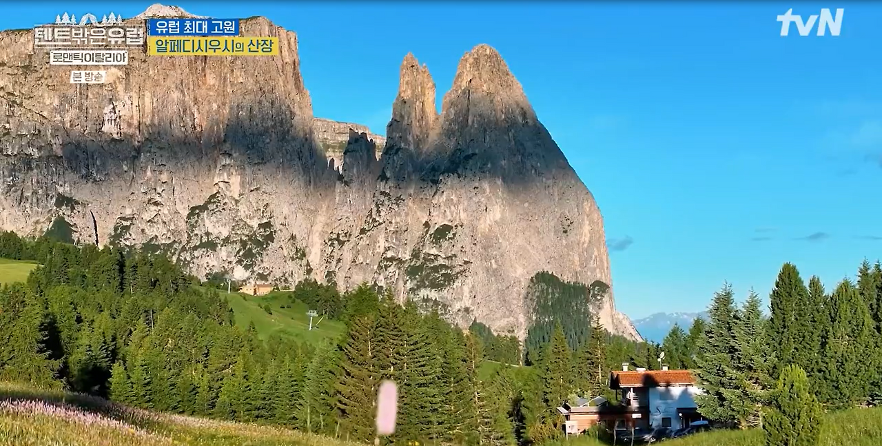 화면 캡처 2025-02-15 122722.png