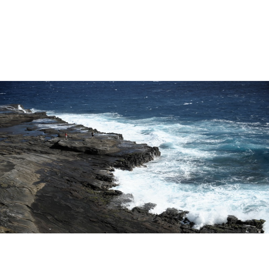 제목을 입력해주세요_-001 (6).png