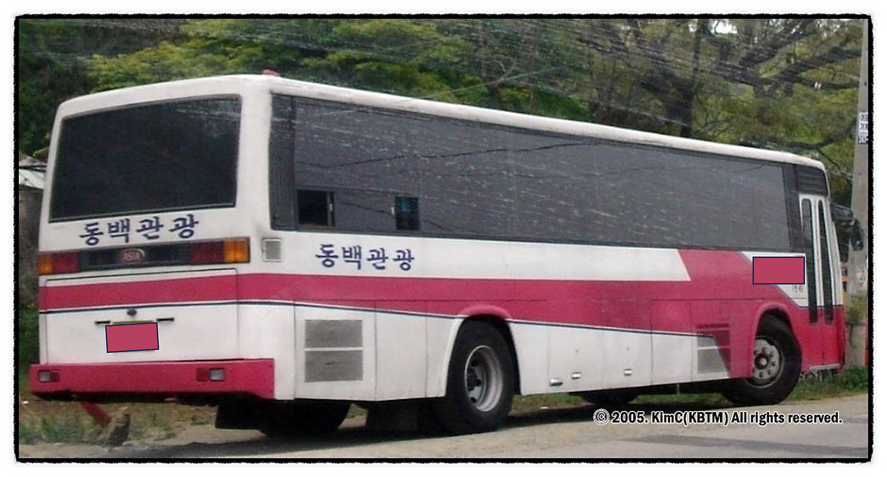 몽키의 솔리드프로.png