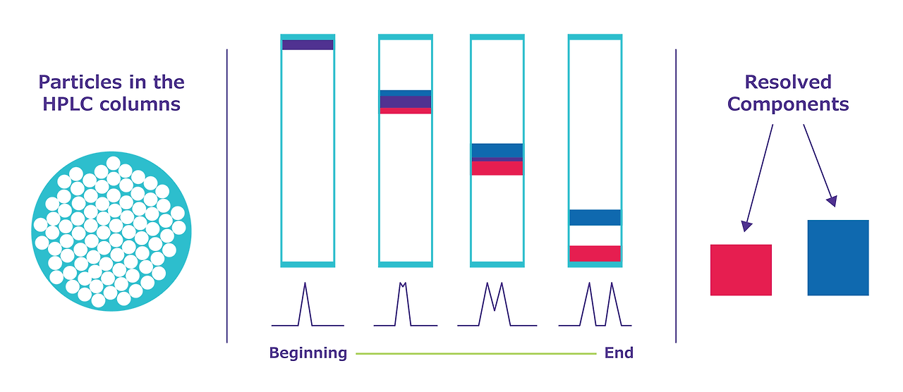 hplc-separation-diagram.png