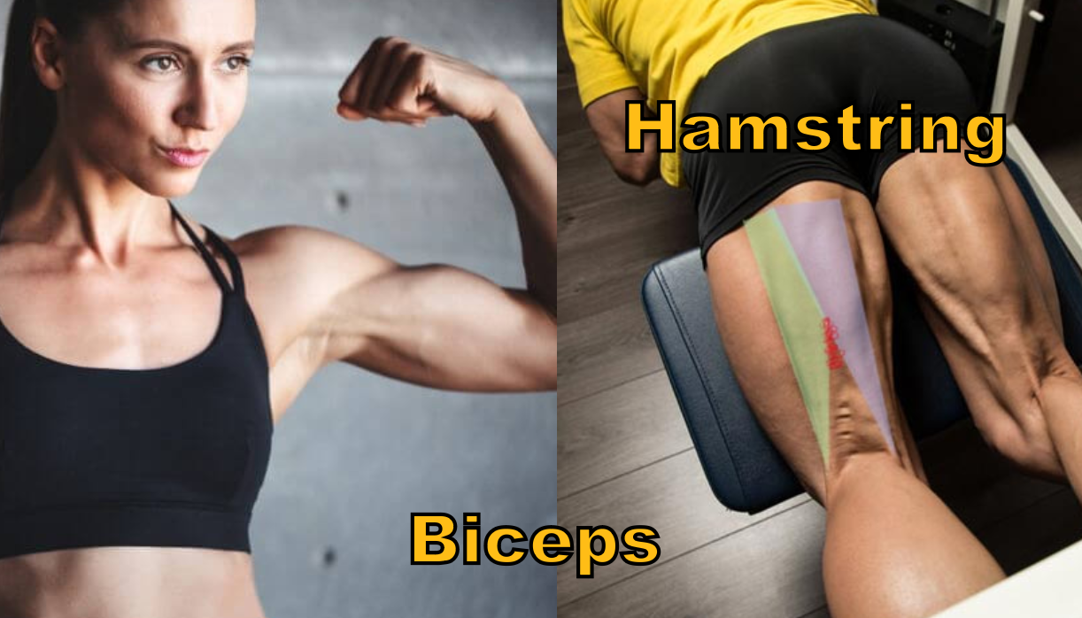 Screenshot 2023-10-03 at 11.45.31 PM.png