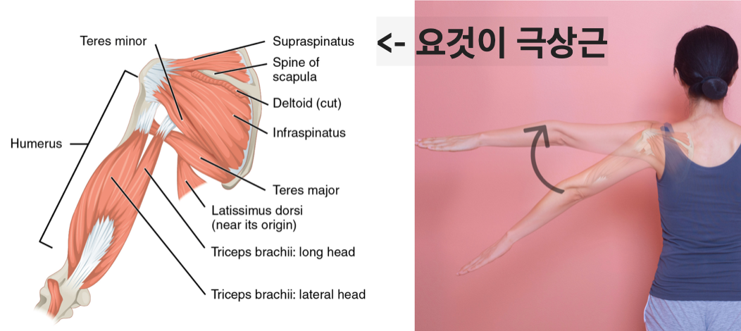 Screenshot 2023-10-04 at 1.00.39 AM.png