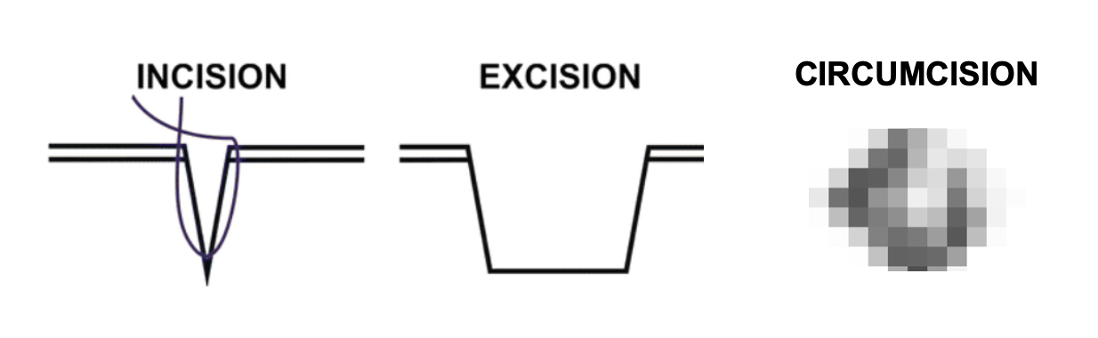 Screenshot 2025-06-03 at 2.59.57 PM.png