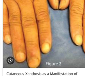 Screenshot 2024-05-12 at 12.15.37 AM.png