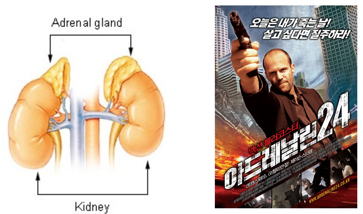 Screen Shot 2022-04-22 at 8.18.57 AM.png