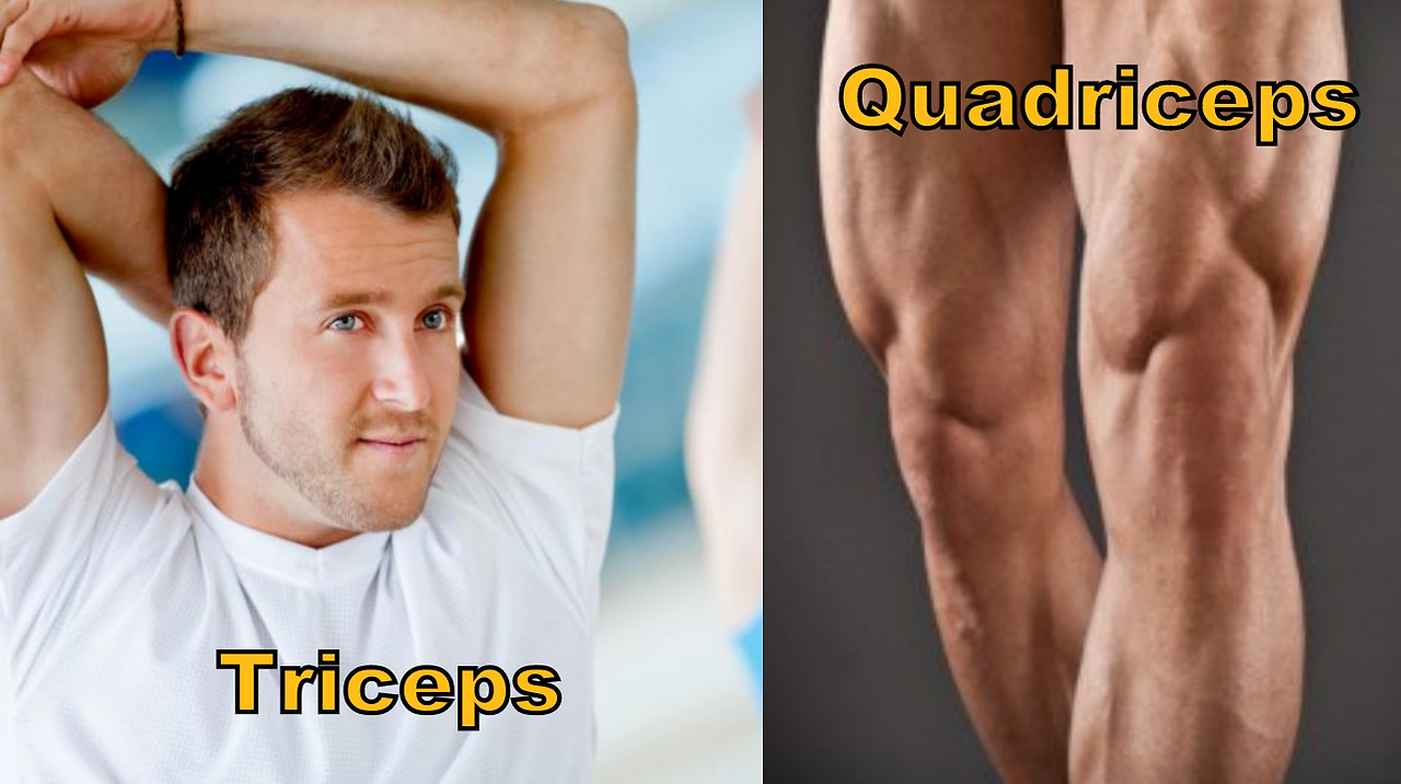 Screenshot 2023-10-03 at 11.45.40 PM.png