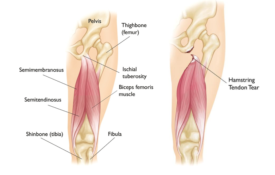 Screenshot 2023-10-03 at 11.45.49 PM.png