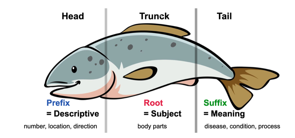 Screen Shot 2022-04-09 at 7.09.08 PM.png