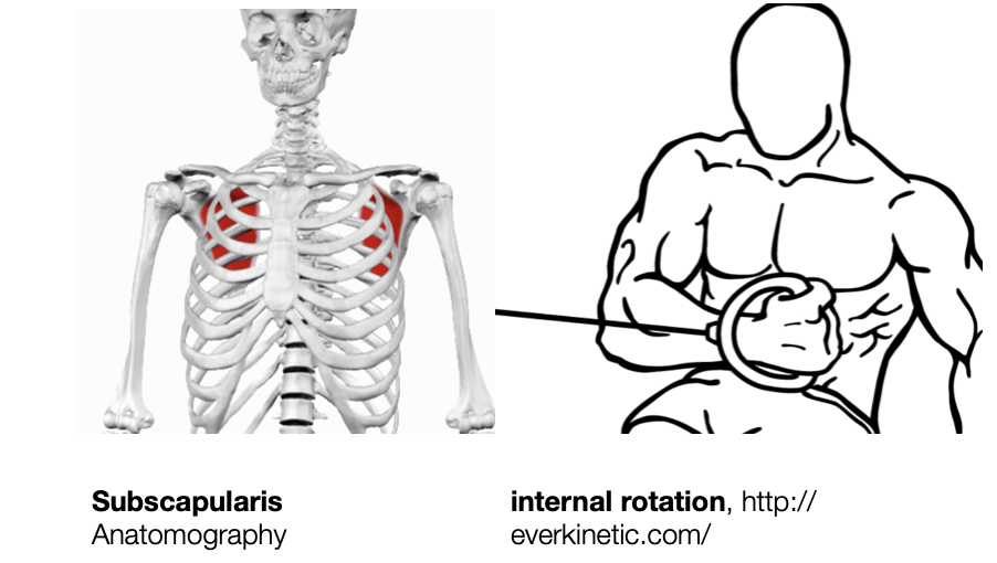 Screenshot 2023-10-04 at 1.13.33 AM.png