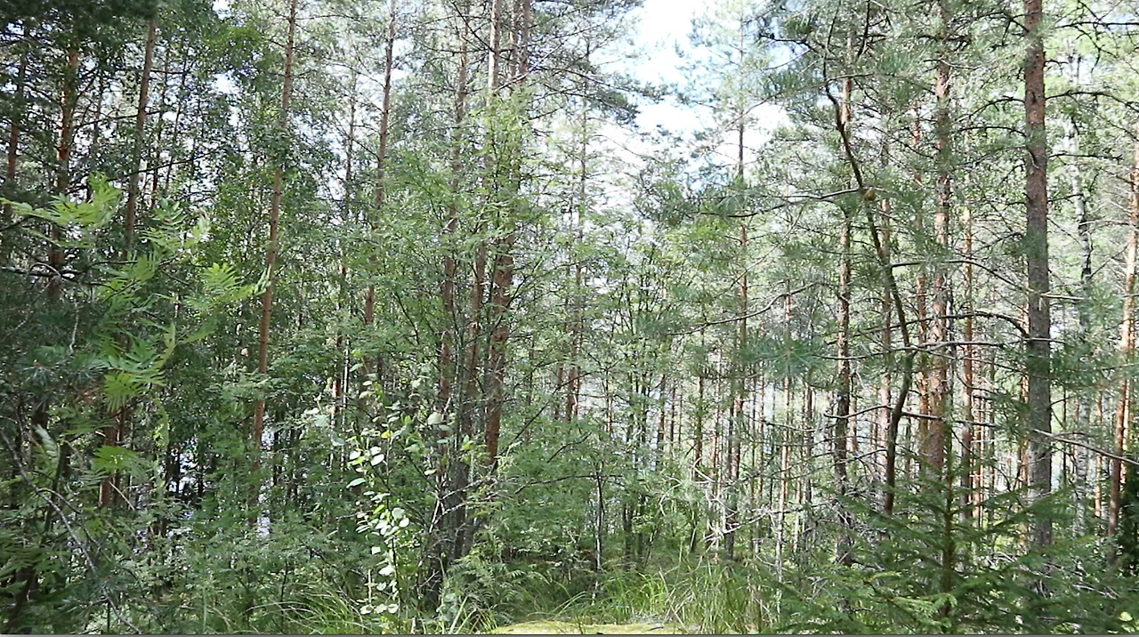 Capture d’écran 2022-09-08 à 08.40.31.png