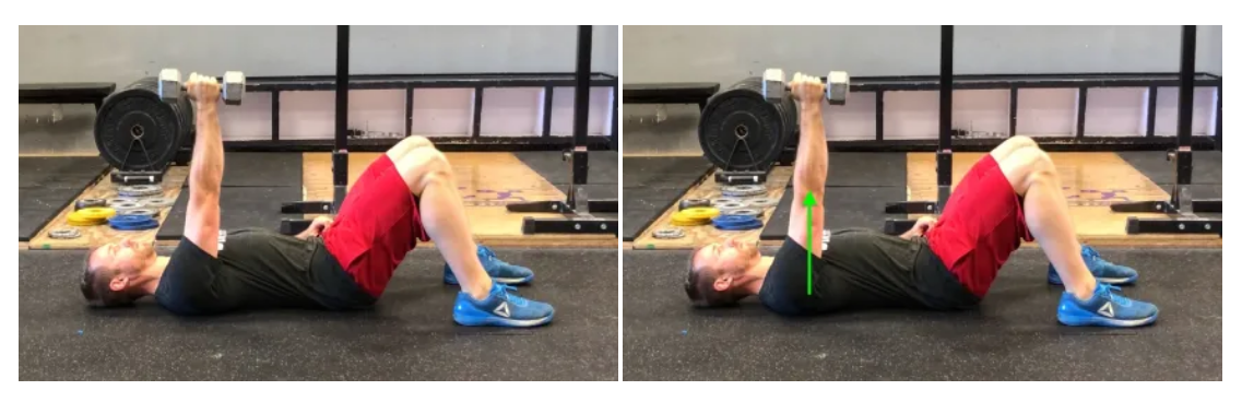 전거근 운동 2.png