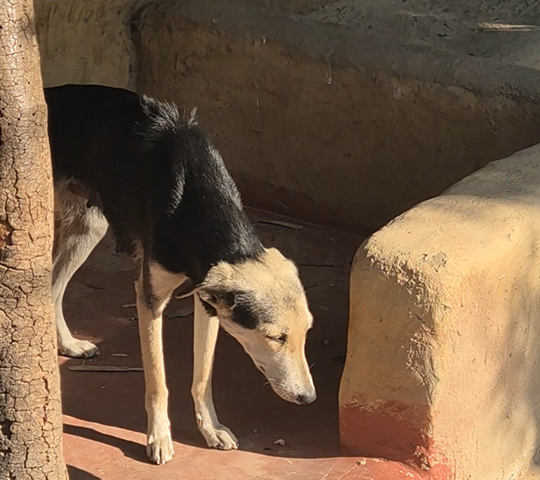 스크린샷 2026-01-16 225238.png