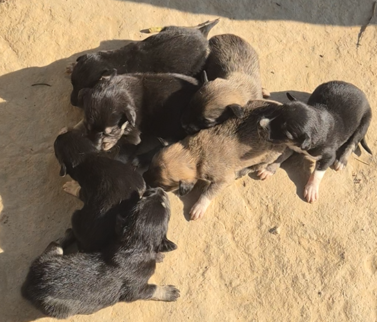 스크린샷 2026-01-16 225332.png