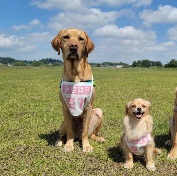 화면 캡처 2024-10-25 092038.png