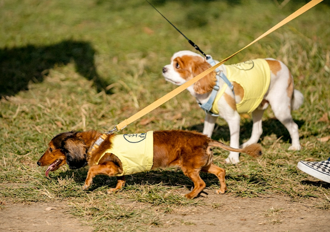 화면 캡처 2024-10-23 144813.png