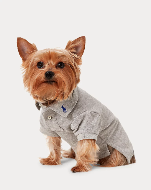 화면 캡처 2024-10-25 091226.png