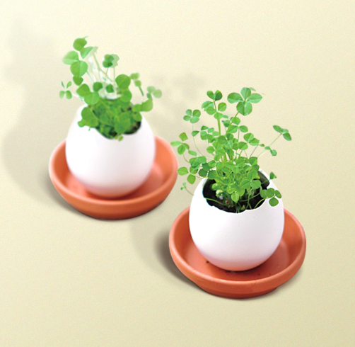 화면 캡처 2025-05-14 102543.png