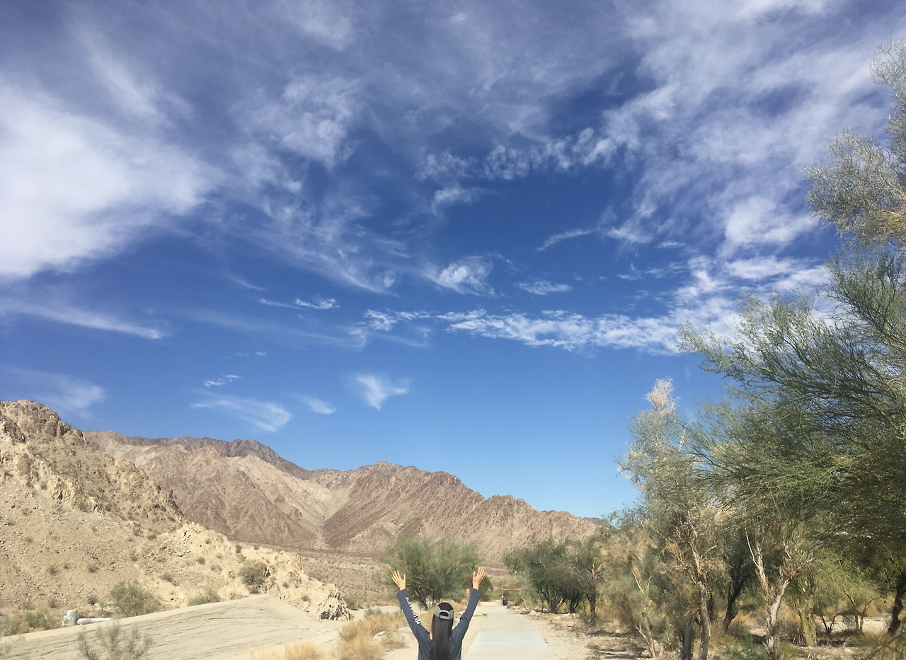 Screen Shot 2022-05-31 at 10.52.37 AM.png